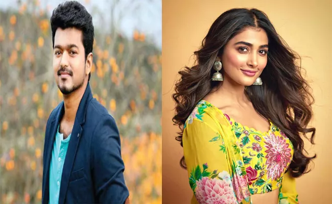 Puja Hegde Acting As Heroine In Vijay Next Film - Sakshi