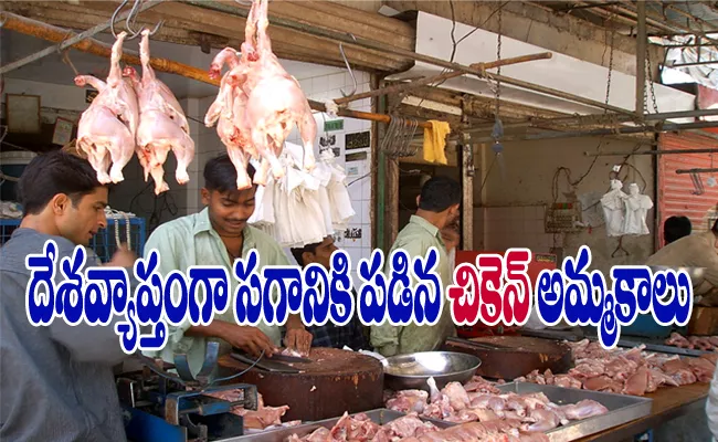 Global poultry traded affected by Coronavirus - Sakshi