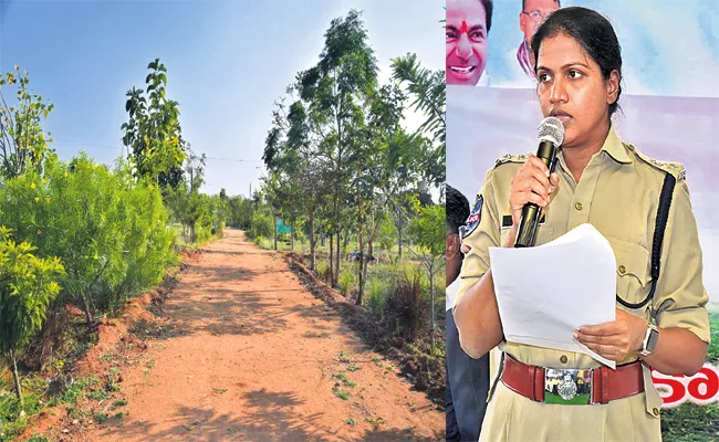 Kamareddy Police Plants 3500 Haritha Vanam SP Swetha - Sakshi