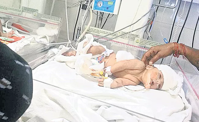 Just Born Baby Dead At Vikarabad District - Sakshi