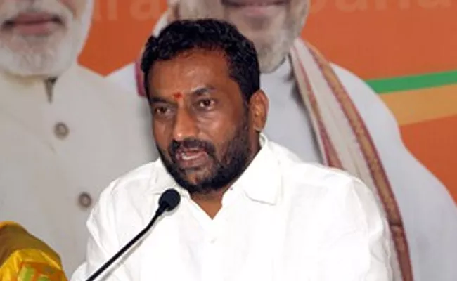 Women Allegations On BJP Leader Raghunandan Rao - Sakshi