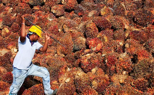 Malaysia Says Will Resolve Problems With India Over Palm Oil - Sakshi