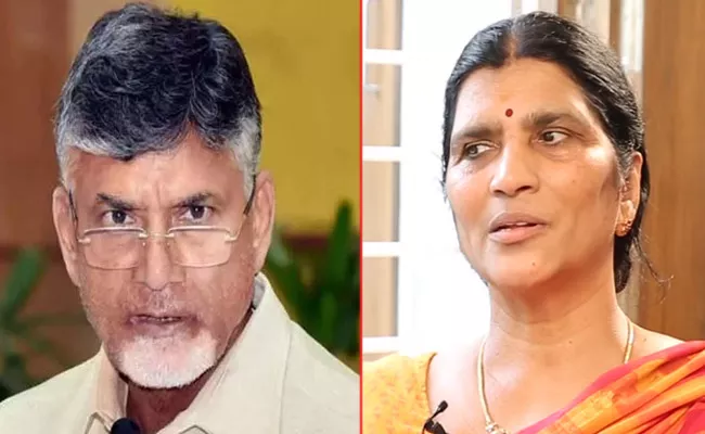 ACB Court Adjourns Chandrababu Illegal Assets Case To February 14 - Sakshi