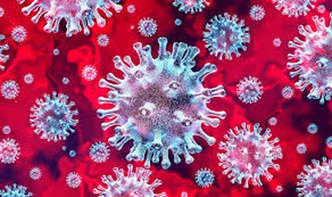 More than 111,000 people have been infected to Coronavirus - Sakshi