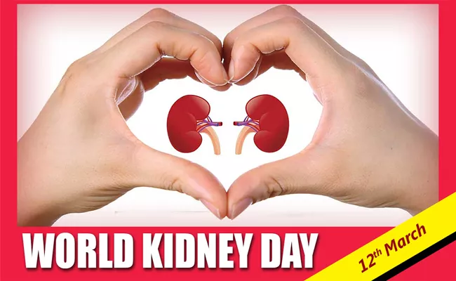 World Kidney Day Special Story, Causes For Kidney Failure - Sakshi