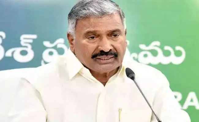 Minister Peddireddy Ramachandra Reddy Fires On Chandrababu - Sakshi