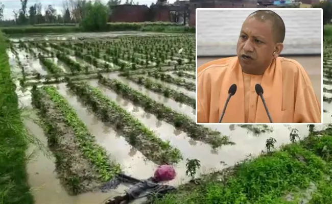 Rains, Hailstorm Damage Standing Crops in Uttar Pradesh - Sakshi