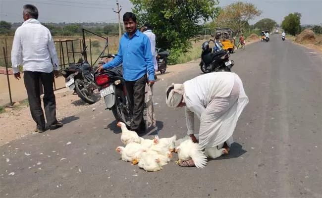 Corona effect Rs 3 Lakhs worth Of Chickens Free Distributed - Sakshi