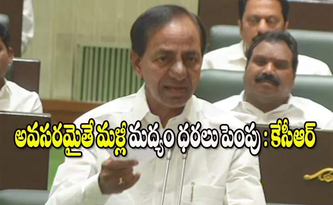 KCR Speech In Telangana Assembly - Sakshi