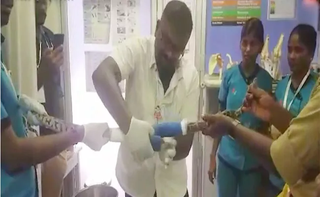 Tirunelveli Doctor Treats Python For Fractures Backbone - Sakshi