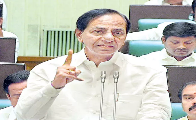 KCR Against CAA NRC NPR At Telangana Assembly - Sakshi