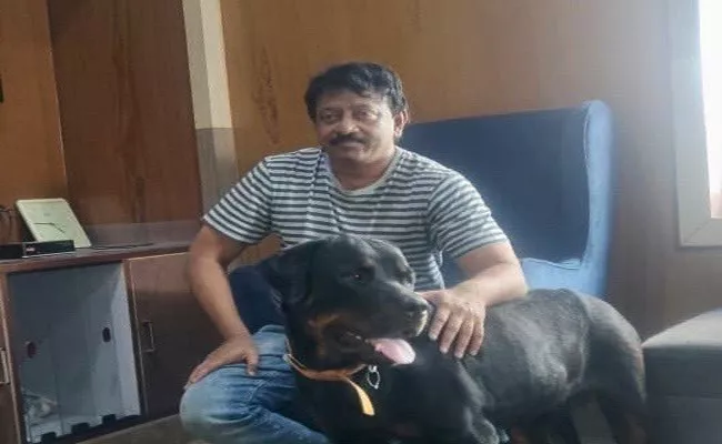 Ram Gopal Varma New Pet Dog Body Guards For Fans - Sakshi