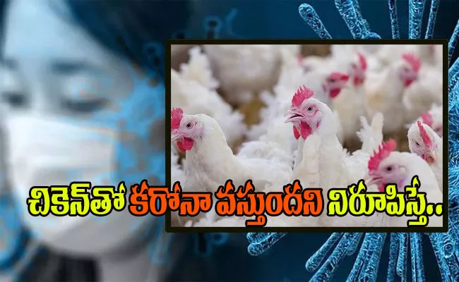 Prove Covid-19 Spreads Through Chicken And Claim Rs One Crore - Sakshi