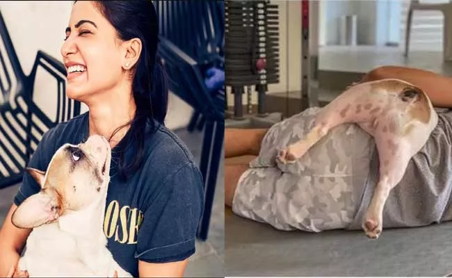 Samantha Shares Adorable Pic Of Naga Chaitanya With Pet Dog - Sakshi