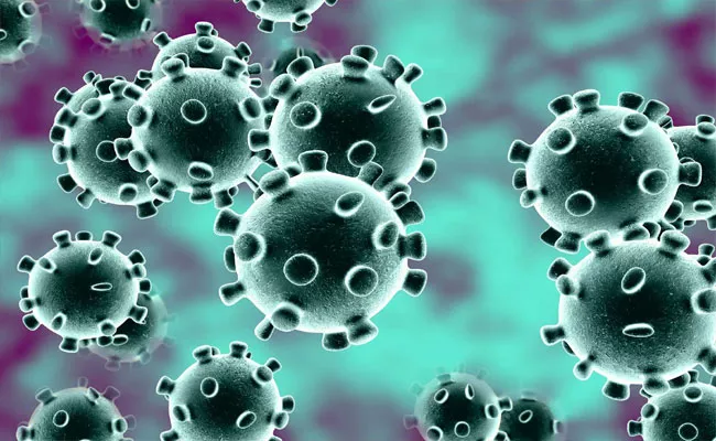 Person From Vijayawada Infected With Coronavirus - Sakshi