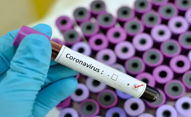 Solipeta Ramalingareddy Writes Guest Column About Coronavirus - Sakshi