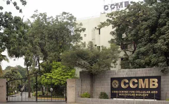 Centre Green Signal To Conduct Corona Test At CCMB - Sakshi