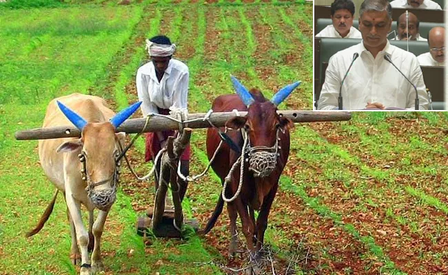 Telangana Budget 2020:Good News For Farmers - Sakshi