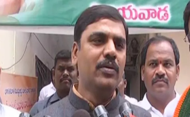 BJP Leader Vishnuvardhan Reddy Fires On Chandrababu - Sakshi