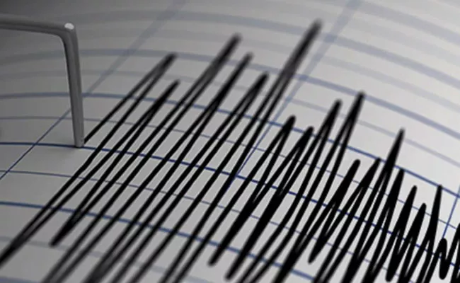 Earthquake with magnitude 2.7 hits Delhi - Sakshi