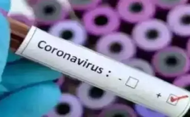 Coronavirus One Primary Contact Case In Warangal District - Sakshi