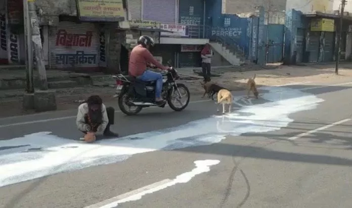 Man And Dogs Sharing Spilt Milk In Agra Shows Lockdown Desperation - Sakshi