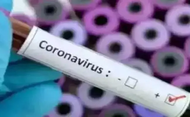 Lorry Driver Coronavirus Positive Case In Singh Nagar At Vijayawada - Sakshi