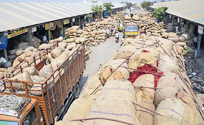 AP Govt Preparations for Mirchi Sales and exports - Sakshi