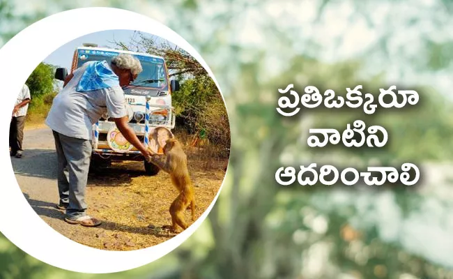 Sathya Sai Social Service Trust Food Distribution to Monkeys - Sakshi