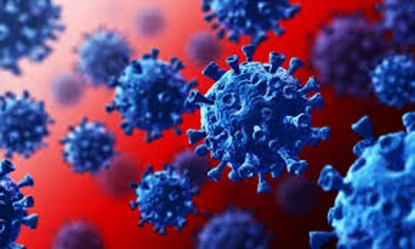 Niti Aayog Says Need To Protect Elderly From Coronavirus   - Sakshi