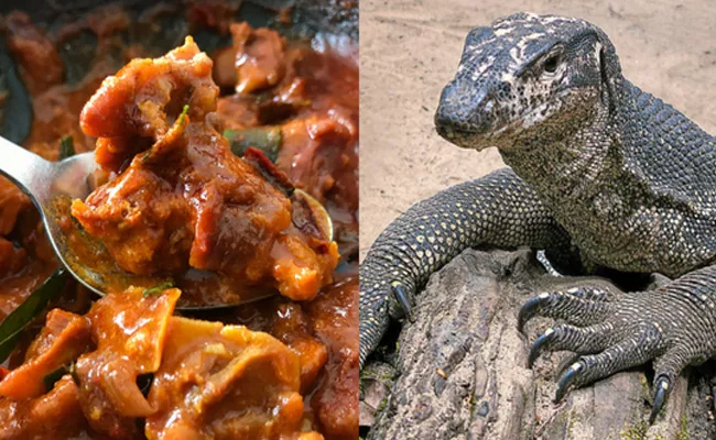 Youth Prepare Monitor lizard Biryani In Tamil Nadu Police Case Filed - Sakshi