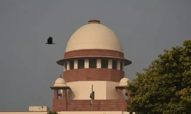 COVID-19: Supreme Court heard 593 cases via video facility Amid Lockdown - Sakshi