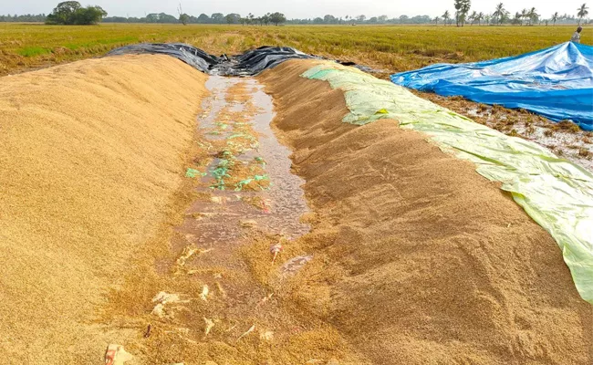 Farmers Loss With Heavy Rain in West Godavari - Sakshi