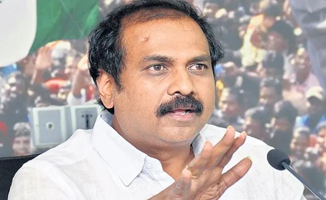 Minister Kurasala Kannababu Fires On Chandrababu - Sakshi