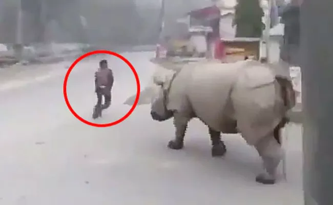 Rhinoceros try to hits a man who breaks lock down in Nepal - Sakshi