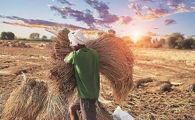 No Loss For Farmers In India Says Niti Aayog - Sakshi