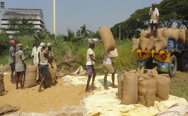 Coronavirus: AP Government Ready Collect Grain In East Godavari District - Sakshi