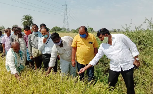 Agriculture Officers Visit Rainy Crops in Mahabubnagar - Sakshi