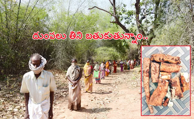 225 Families Suffering in Tirupati Forest With Lockdown - Sakshi