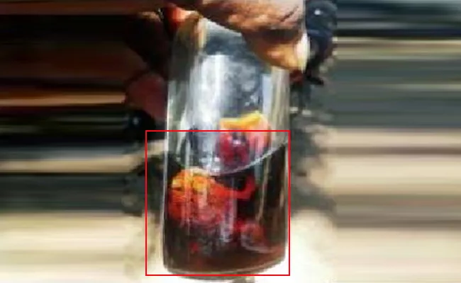 Frog Find in Alcohol Bottle in Tamil nadu - Sakshi