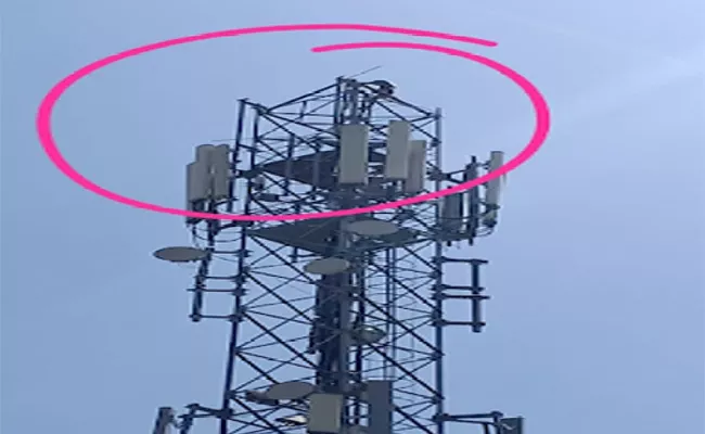 Young Man Protest Over Climbs Cell Tower In Chittoor - Sakshi