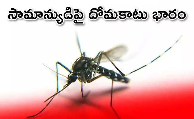 Dengue Fever in Mahabubnagar - Sakshi