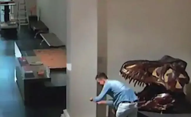 Man Breaks Into Closed Sydney Museum Take Selfies With Dinosaur Skulls - Sakshi