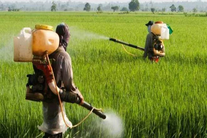 Fertilizer stocks under pressure on govt's draft order to ban select insecticides - Sakshi