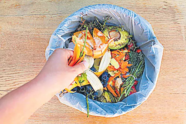 Vegetable wastes-a potential source of nutrients for ruminants - Sakshi