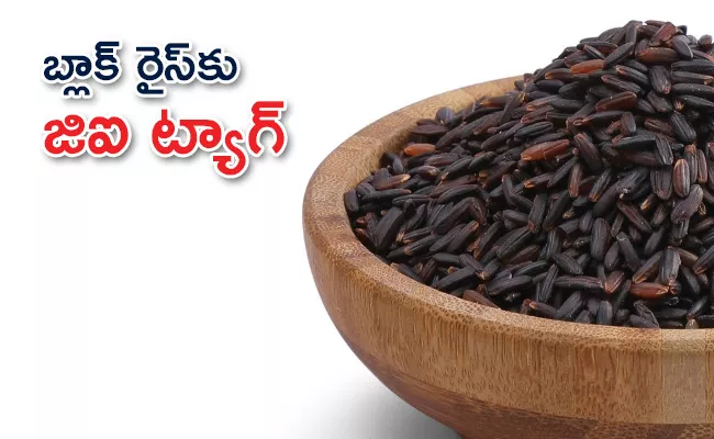 Manipur Black Rice Gets Geographical Indication Tag - Sakshi