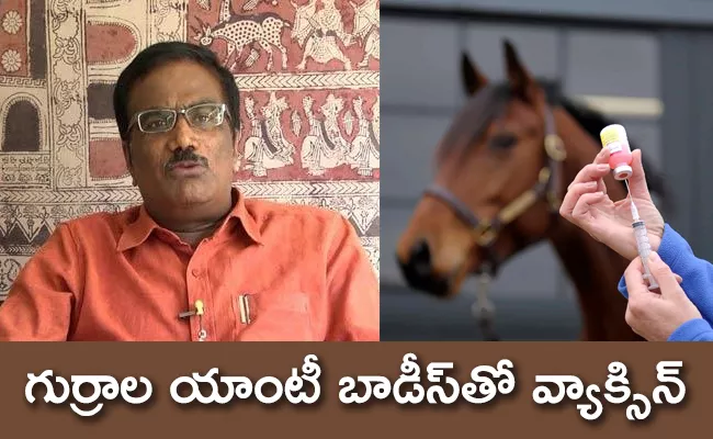 Hyderabad Scientists Look To Horses For Covid-19 Cure - Sakshi