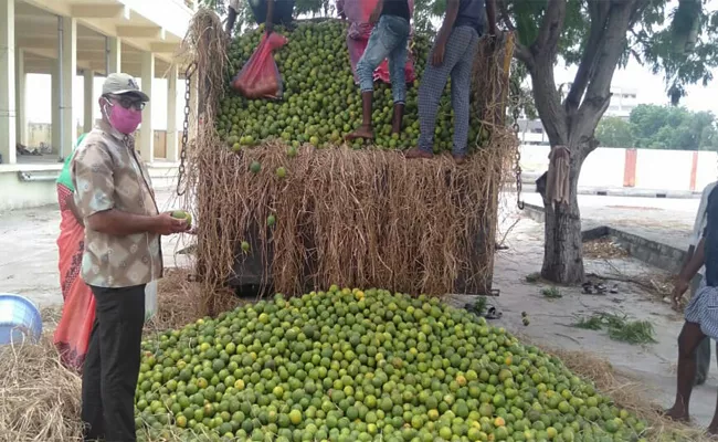 Orange Fruits Low Prices For Dwcra Women in Prakasam - Sakshi