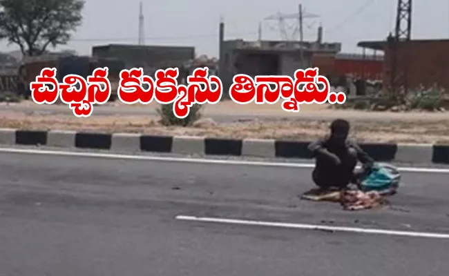 Heart Breaking: Hungry Man Eat Dead Dog On Highway In Rajasthan - Sakshi