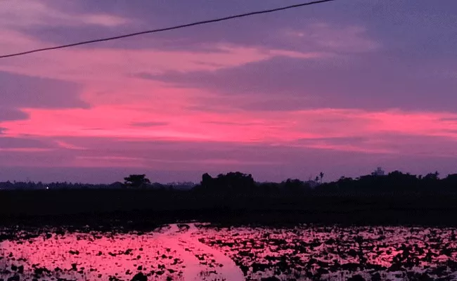 Netizens Shares Pics Bhubaneswar Skies Turn Pink After Amphan Cyclone - Sakshi